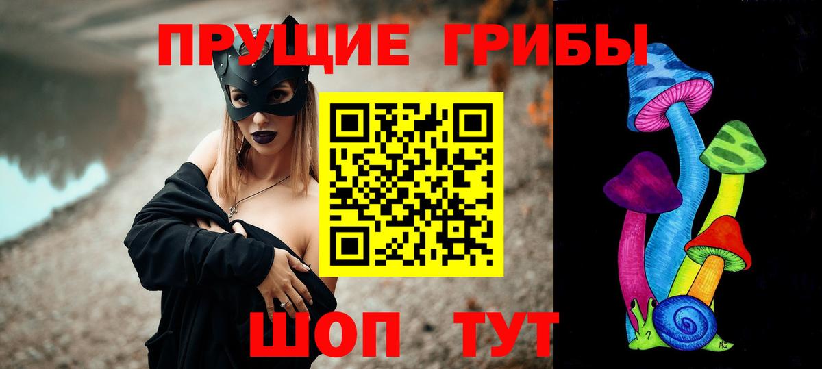 Псилоцибиновые грибы GOLDEN TEACHER Черняховск