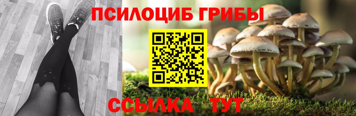Псилоцибиновые грибы GOLDEN TEACHER  Вход с VPN  Черняховск 