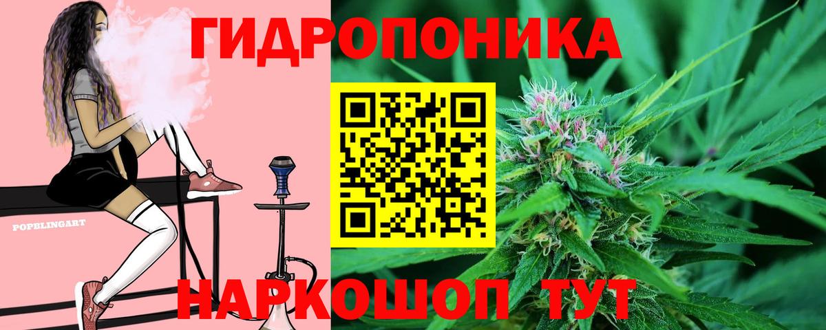 Конопля VHQ Черняховск